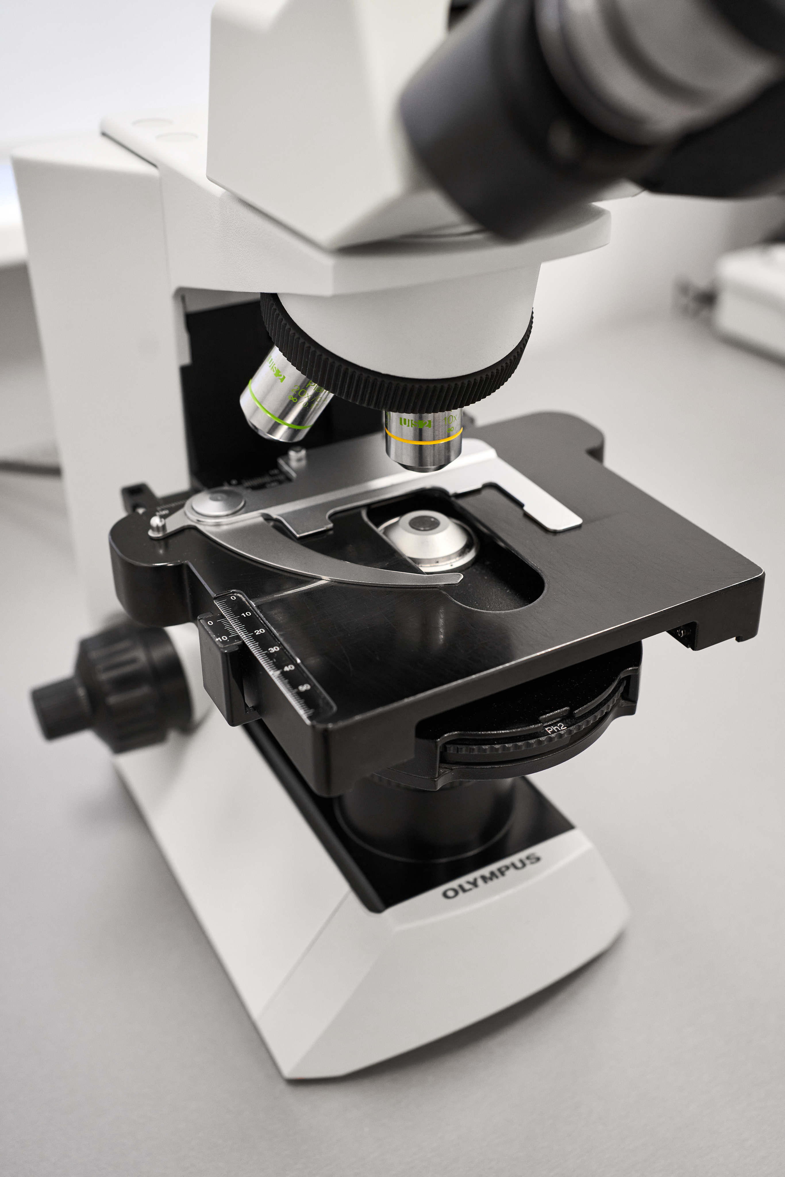 microscope image